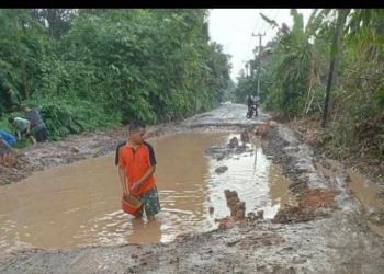 Jalan Kumpeh Rusak Parah, Perlu Perbaikan Segera
