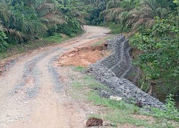 Bronjong di Desa Teluk Rendah Ulu Terancam Ambrol