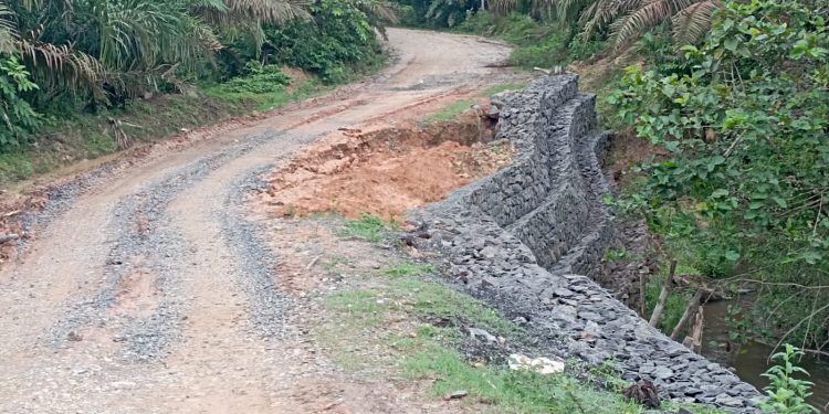 Bronjong di Desa Teluk Rendah Ulu Terancam Ambrol