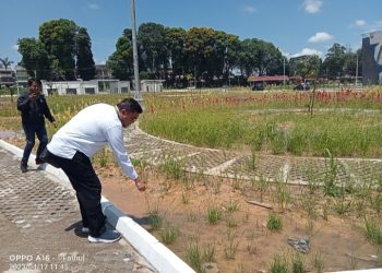 Komisi III DPRD Jambi Sidak RTH
