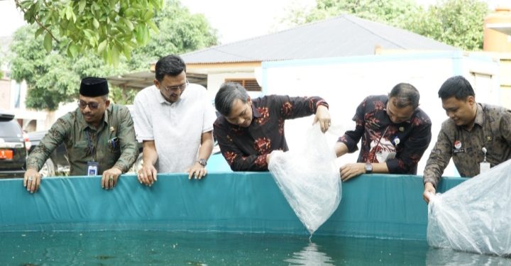 Ketua DPRD Jambi Serahkan 40 Ribu Bibit Ikan Lele Kepada Pokdakan di Tehok