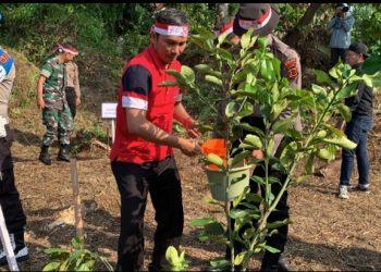 Tanam Pohon di Danau Sipin, Edi Purwanto Kampanyekan Penghijaun Sejak Dini