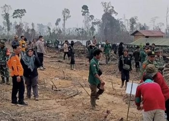Pasca Kebakaran, Bersama TNI-Polri dan Unsur Terkait, PT ABT Lakukan Penanaman Ulang Pohon