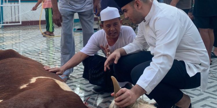 Rendra Usman Kurban Simental Buat Disembelih Warga Tanjungjabung Barat