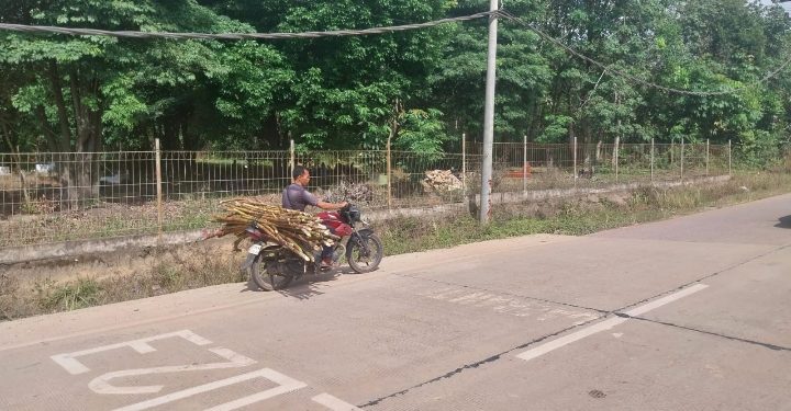 Melihat Manfaat IJD Tahun 2023 yang Dikerjakan BPJN Jambi, Jalan Lancar Pengaruhi Harga Jual Nanas Masyarakat