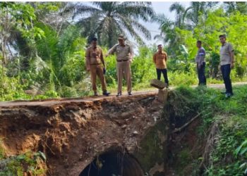 Cek Jalan Putus di Desa Rimbo Mulyo, Pj Bupati Tebo Tegaskan Akan Lakukan Perbaikan