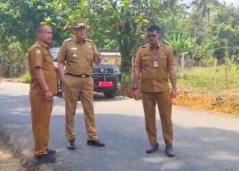 Pj Bupati Tinjau Jalan yang Dibangun Gunakan DAK
