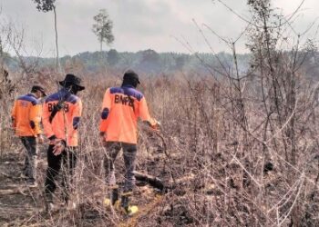 Karhutla di Areal Perusahaan Meluas, Dewan Minta Pemerintah Pertimbangkan Cabut Izin
