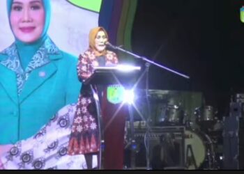 Hadiri Parade Batik Tebo 2024, Ketua Dekranasda Perkenalkan Motif Batik Baru