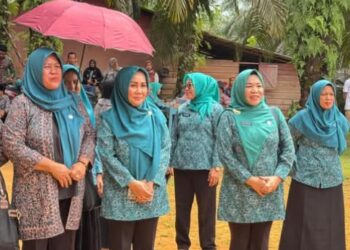 Ketua TP PKK Tinjau Penilaian Kelompok PKK di Suka Damai