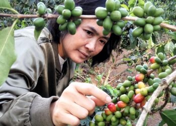 BNI JKK Dukung Kopi Garut Go Global