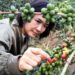 BNI JKK Dukung Kopi Garut Go Global