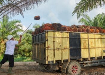 Mitra Ogan Berkomitmen Penuhi Kewajiban Karyawan yang Tertunda
