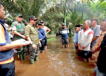 Kepala BNPB Rumuskan Solusi Jangka Panjang Atasi Banjir di Kalbar