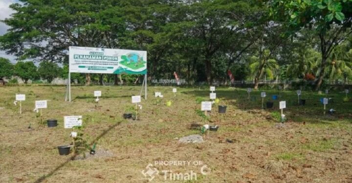 Dukung Ketahanan Energi, PLN-PT Timah-METI Tanam Ribuan Bibit Angsana