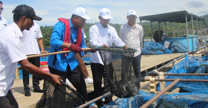 KKP Pastikan Stok Kakap Putih Aman hingga Lebaran