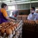 Produksi Telur Indonesia Melimpah, Harga Tetap Stabil