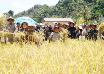 Pertisun Perdana di Kerinci, Gubernur Al Haris Bawa Pejabat Turun Langsung ke Dusun Serap Aspirasi Warga