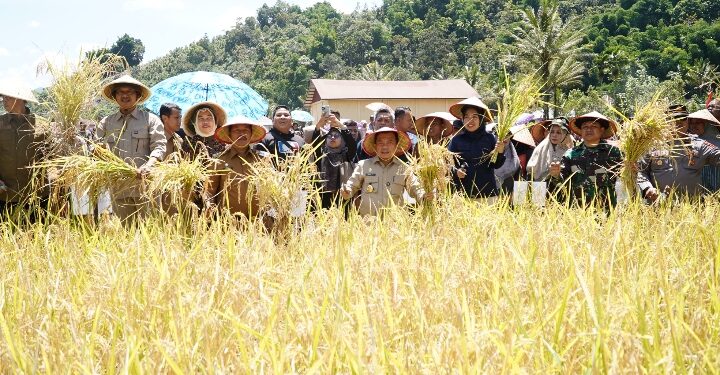 Pertisun Perdana di Kerinci, Gubernur Al Haris Bawa Pejabat Turun Langsung ke Dusun Serap Aspirasi Warga