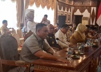 Wakil Ketua DPRD Jambi Soroti Minimnya Kewenangan Daerah di Hadapan DPD RI