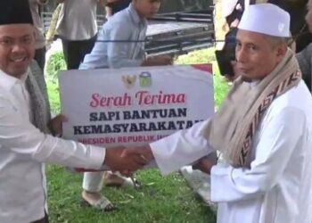 Wabup Tebo Nazar Efendi Serahkan Sapi Brahman Cross dari Presiden Prabowo ke Imam Masjid Agung Al Ittihad Tebo