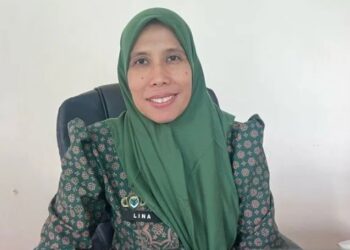 Pengumuman Kelulusan PPPK Tahap Dua sudah Keluar