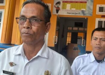 Setiap Kecamatan di Batang Hari Miliki Lahan Gambut