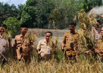 Usai Panen Padi, Wabup Tebo Bersama Petani Bahas Ketahanan Pangan di Bedaro Rampak