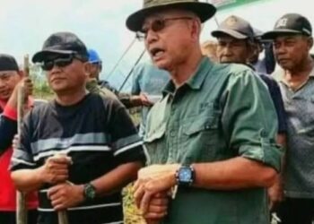 Pemkab Tebo Targetkan Delapan Brigade Pangan Terbentuk pada 2025