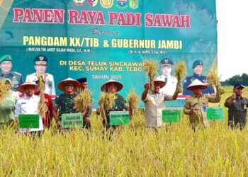 Pemkab Tebo Targetkan 3 Kali Panen Padi Dalam Setahun