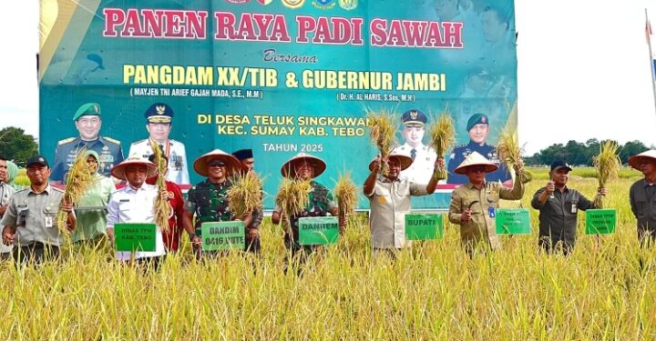 Pemkab Tebo Targetkan 3 Kali Panen Padi Dalam Setahun