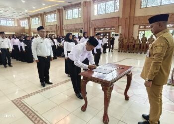 1 SK PPPK Ditunda, Ini Penyebabnya!