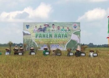 Pemkab Batang Hari Panen Raya di Desa Terusan