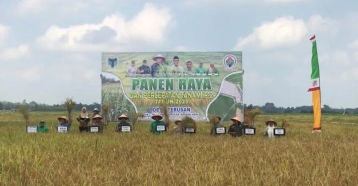 Pemkab Batang Hari Panen Raya di Desa Terusan
