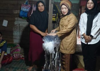 Hj. Hesti Haris Serahkan Kursi Roda dan Dampingi Terapi Pengobatan Warga Tunas Mudo Muaro Jambi