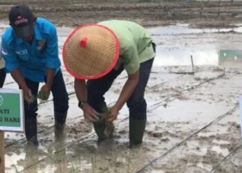 Bupati Batang Hari dorong Petani Capai Swasembada Pangan