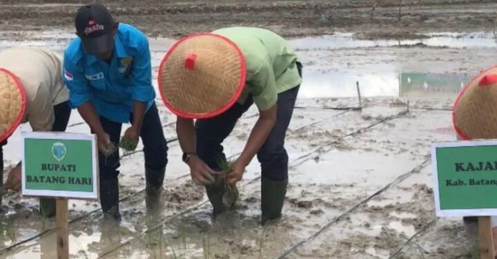 Bupati Batang Hari dorong Petani Capai Swasembada Pangan