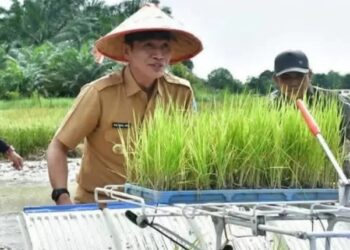 Tingkatkan Hasil Pertanian, Pemkab Batang Hari Berikan Alat Pertanian