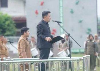 Pemkab Batang Hari Gelar Upacara Hari Pahlawan Nasional