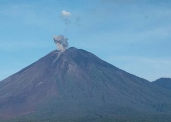 Berstatus Awas, Gunung Semeru Erupsi Delapan Kali