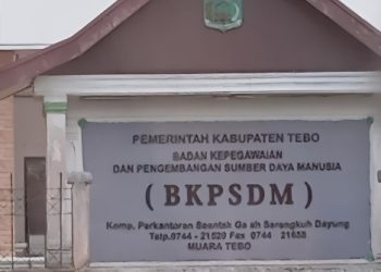 Peserta Seleksi JPT Pratama Tebo yang Memenuhi Syarat Diumumkan, Jabatan Kepala Dinas PUPR Kosong Peminat
