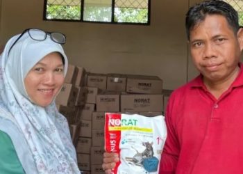 Pemkab Batang Hari Siapkan Lima Ton Racun Tikus Bagi Petani Sawah