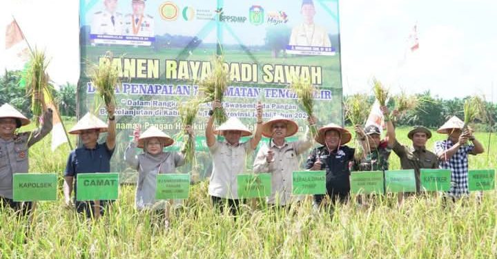 Wabup Tebo Hadiri Panen Raya Padi Sawah di Tengah Ilir