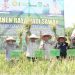 Wabup Tebo Hadiri Panen Raya Padi Sawah di Tengah Ilir